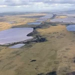 Pakar Temukan Hutan Purba di Pulau Falkland