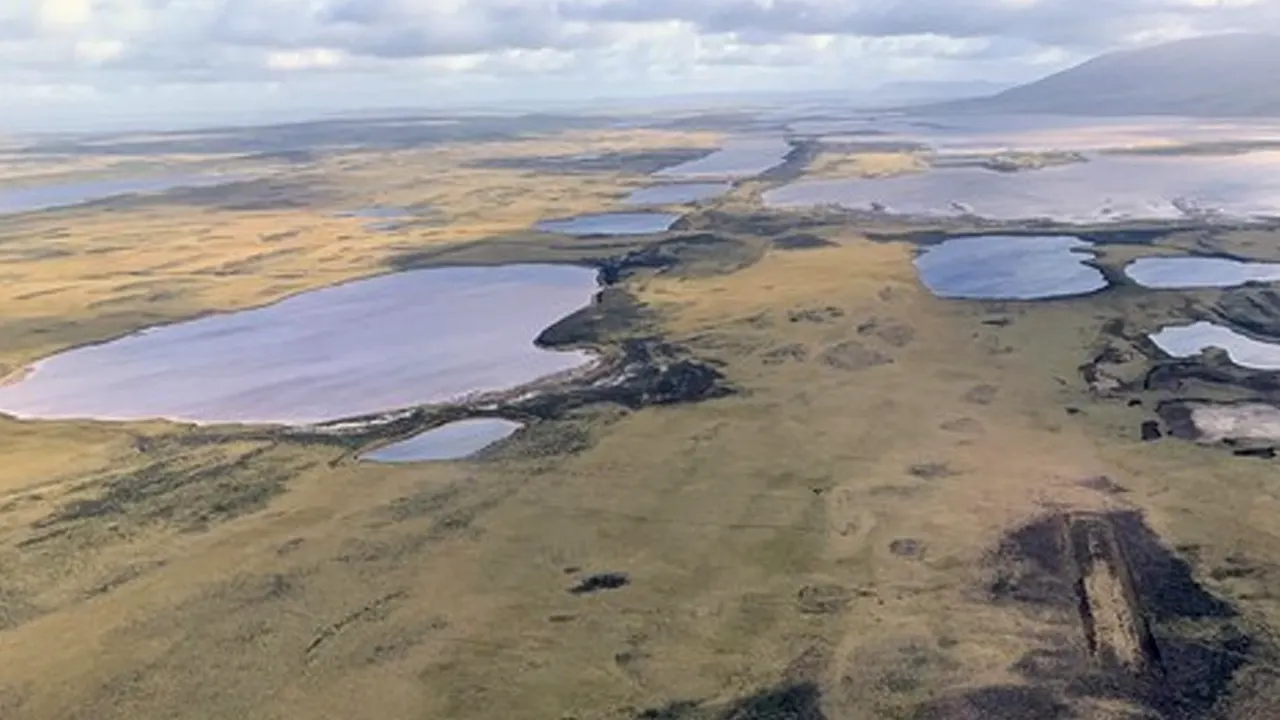 Pakar Temukan Hutan Purba di Pulau Falkland