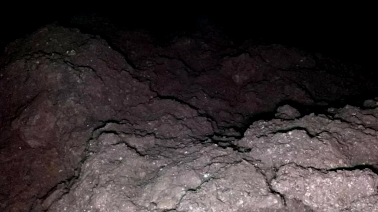 Ilmuwan Menemukan Kehidupan di Sampel Asteroid Ryugu