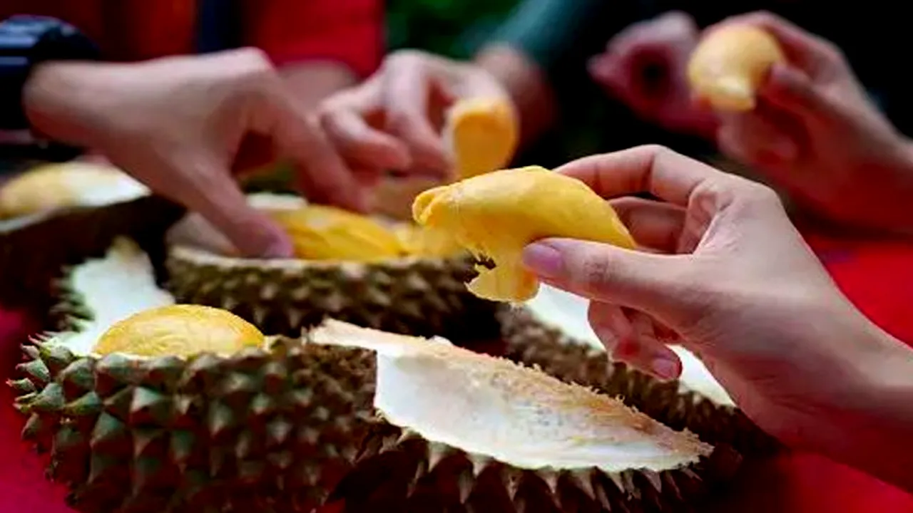 Benarkah Buah Durian Bisa Meningkatkan Kolesterol