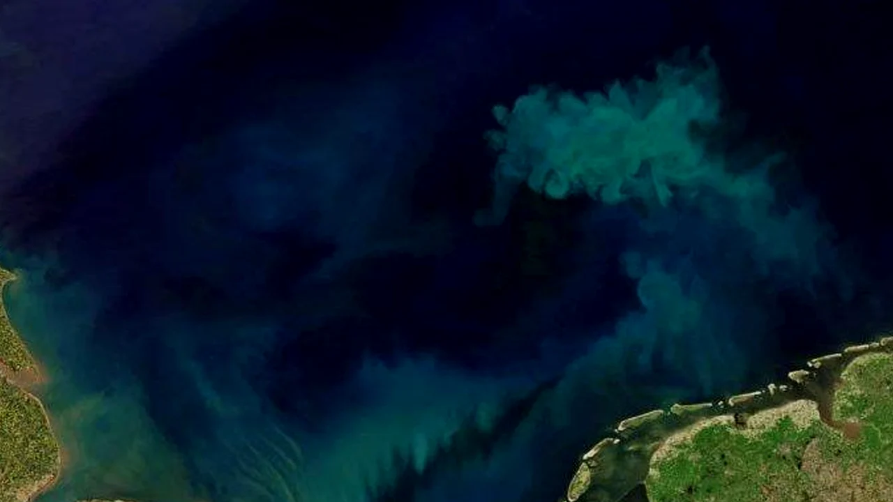 Studi Ungkap Air Laut Semakin Gelap dalam 20 Tahun Terakhir